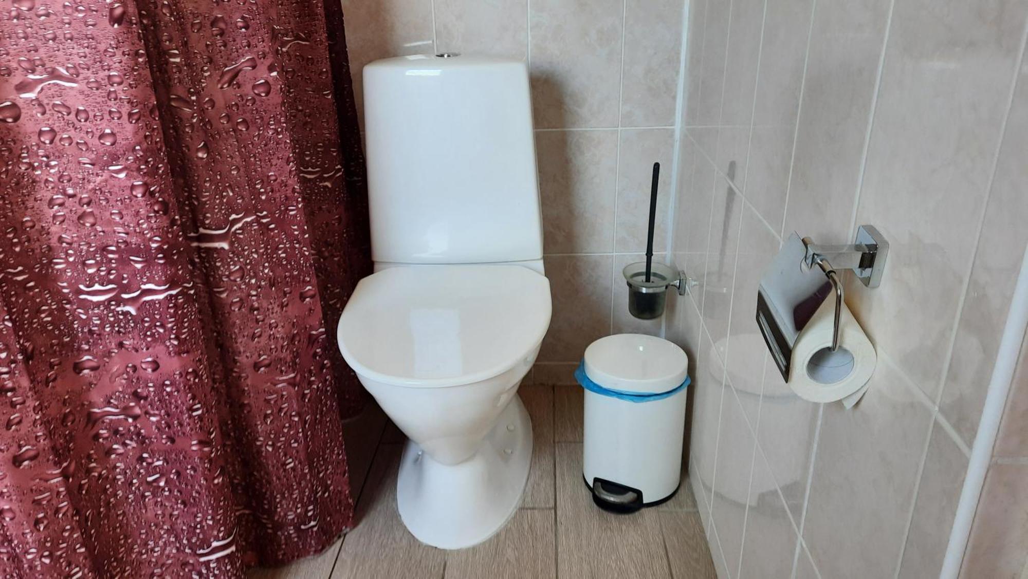 Willipu Guesthouse Alatskivi Екстериор снимка